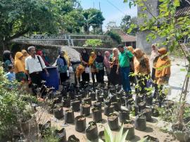 PEMBINAAN KETAHANAN PANGAN KWT SRI REJEKI